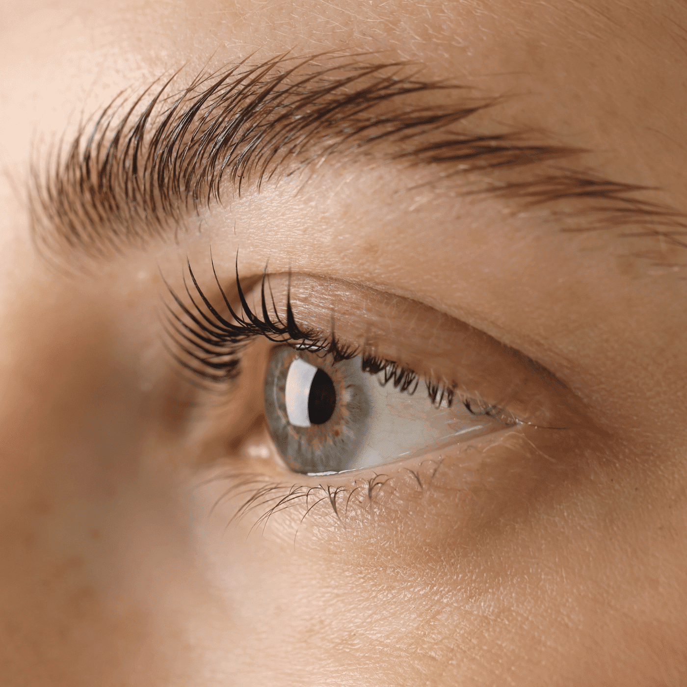 Close-up of a blue eye with long eyelashes and defined eyebrow.