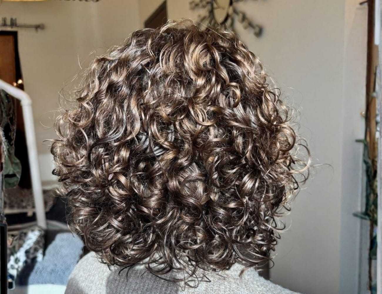 Curly brown hair from behind, showcasing natural texture and volume.