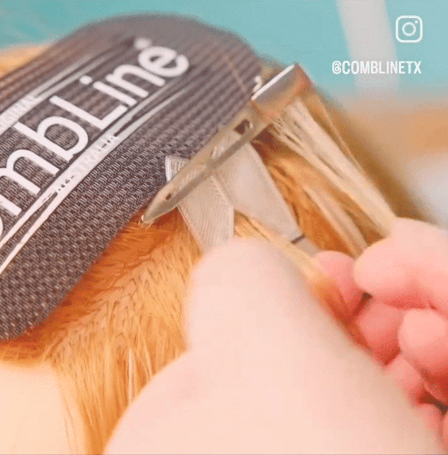 Hair coloring technique demonstrated with a CombLine tool and clips.