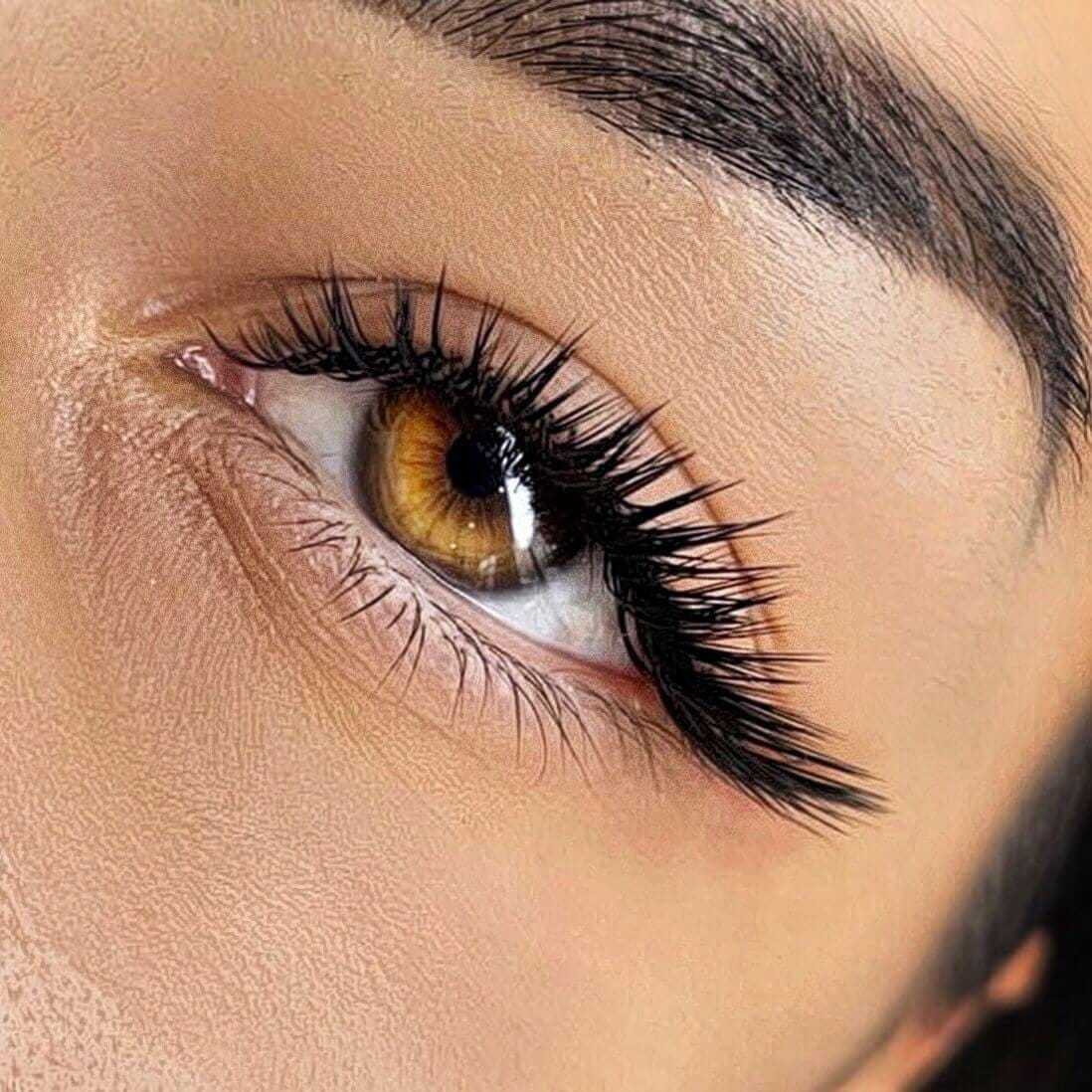 Close-up of a brown eye with long eyelashes and well-groomed eyebrow.