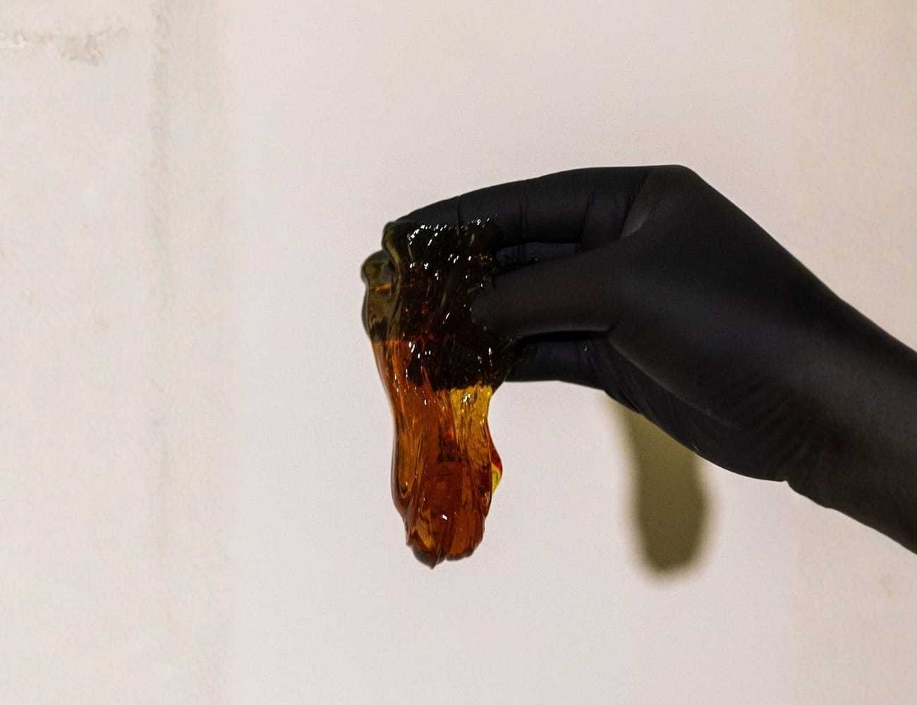 Black-gloved hand holding sticky, amber-colored substance against a neutral background.