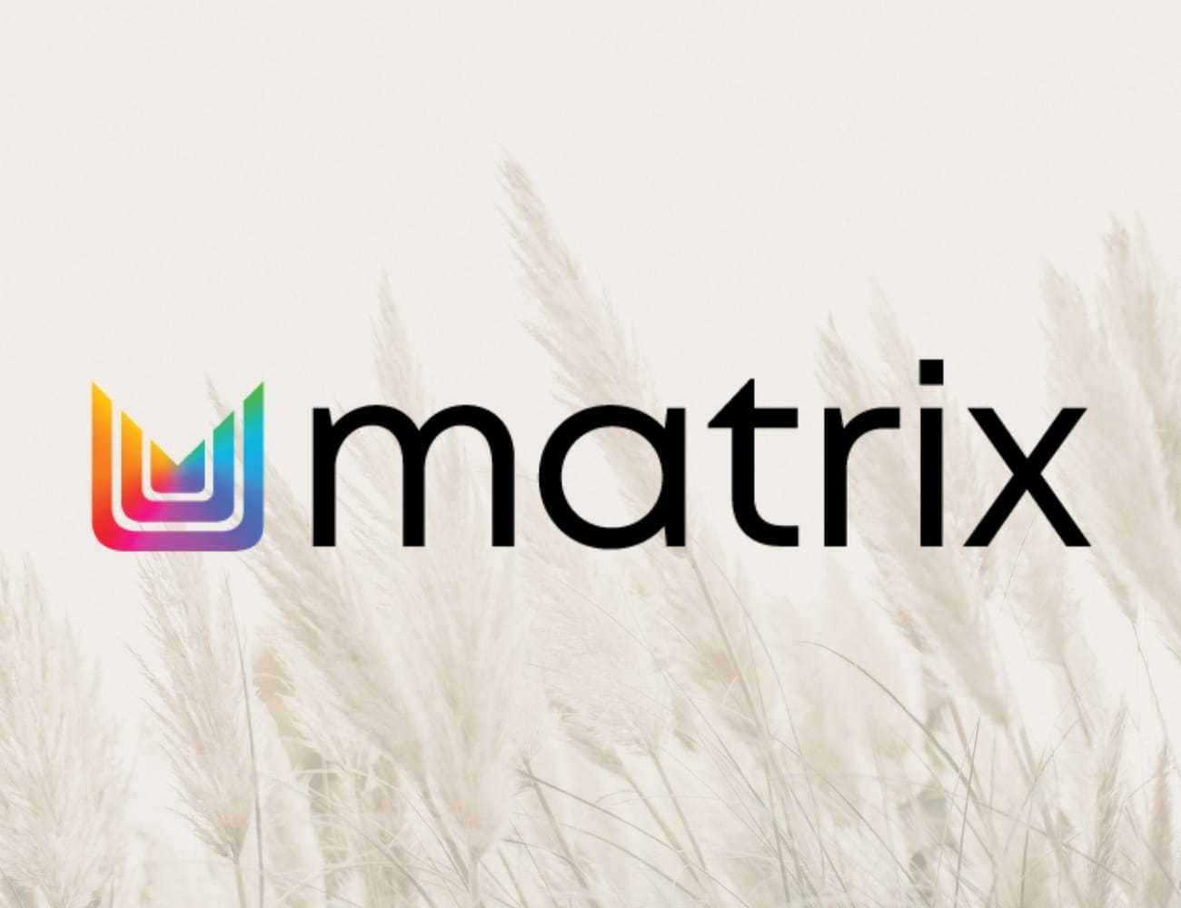 Matrix logo with rainbow design over soft-focus wheat background.
